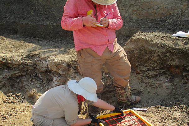 <a href='http://xiur5h.e-keicho.com'>全球十大赌钱排行app</a>学生在麦卡尔哈尼采石场测绘三角龙骨骼.