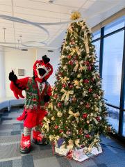 Carthage mascot, Ember, adding ornaments to a Christmas tree.